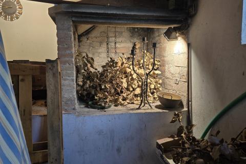 Istra, Pula - Stan s potencijalom u centru 300m od arene