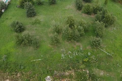 Istra, Tar - Građevinsko zemljište u užoj okolici Tara