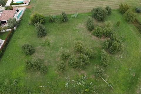 Istra, Tar - Građevinsko zemljište u užoj okolici Tara