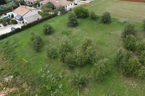 Istra, Tar - Građevinsko zemljište u užoj okolici Tara