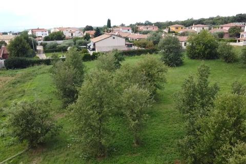 Istra, Tar - Građevinsko zemljište u užoj okolici Tara