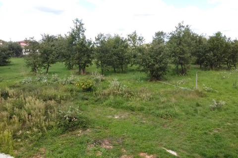 Istra, Tar - Građevinsko zemljište u užoj okolici Tara