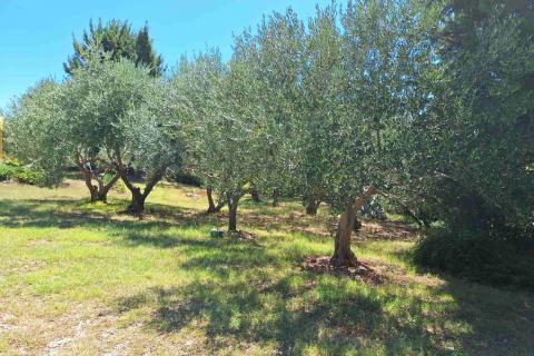 Baška - posebna kuća