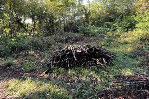 Istra, Karojba - građevinsko zemljište na rubu naselja