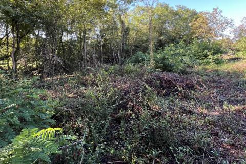 Istra, Karojba - građevinsko zemljište na rubu naselja