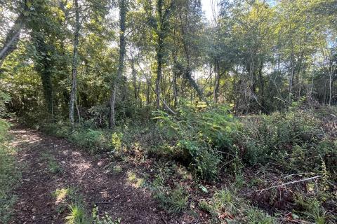 Istra, Karojba - građevinsko zemljište na rubu naselja