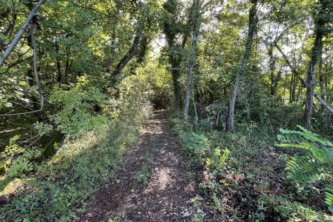 Istra, Karojba - građevinsko zemljište na rubu naselja