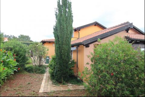 Istra, Višnjan, samostojeća kuća s okućnicom