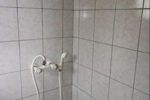 Istra, Višnjan, samostojeća kuća s okućnicom