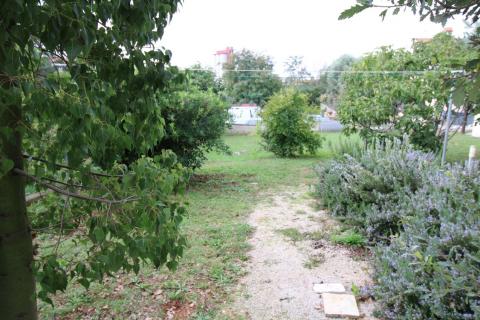 Istra, Višnjan, samostojeća kuća s okućnicom