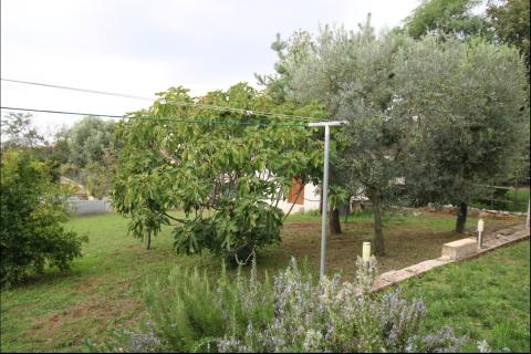 Istra, Višnjan, samostojeća kuća s okućnicom