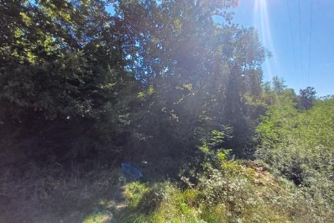 Istra,okolica Poreča-građevinsko zemljište