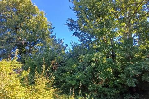 Istra,okolica Poreča-građevinsko zemljište