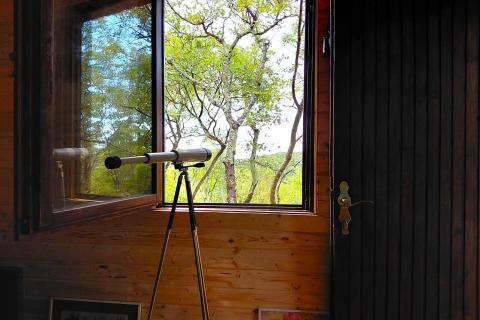 Istra, Rovinj, 8km, kampanja za duševni odmor, 4150m2