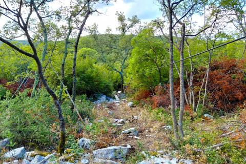 Istra, Rovinj, 8km, kampanja za duševni odmor, 4150m2