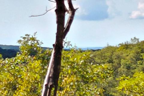 Istra, Rovinj, 8km, kampanja za duševni odmor, 4150m2