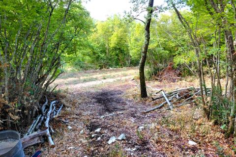 Istra, Rovinj, 8km, kampanja za duševni odmor, 4150m2