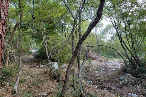 Rovinj, 4km od centra, 2600m šume koja šumi