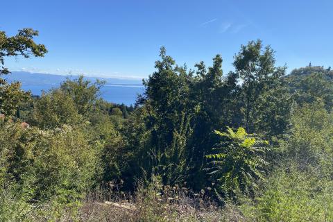 Building plot Veprinac, Opatija - Okolica, 8.321m2