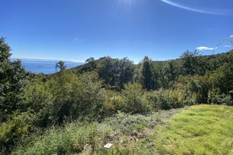 Building plot Veprinac, Opatija - Okolica, 8.321m2