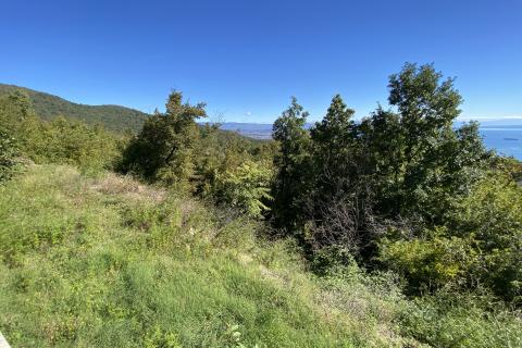 Building plot Veprinac, Opatija - Okolica, 8.321m2