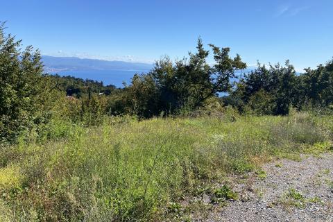 Building plot Veprinac, Opatija - Okolica, 8.321m2