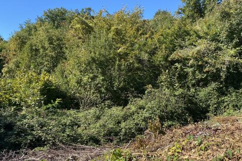 Building plot Veprinac, Opatija - Okolica, 8.321m2