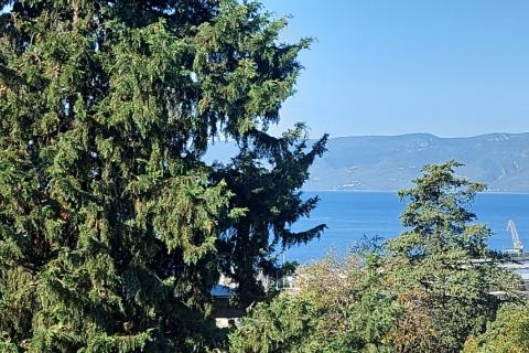 Haus Bulevard, Rijeka, 200m2