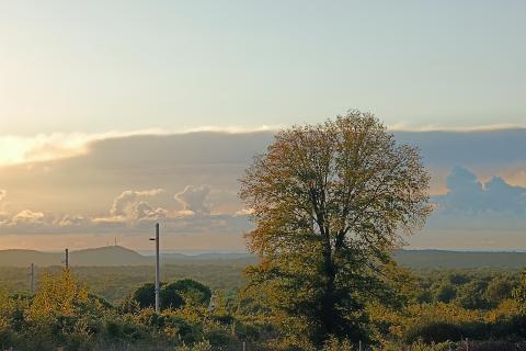 Stanovanje/Apartma Kanfanar, 57m2