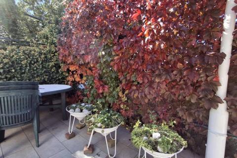 Novi Vinodolski, Klenovica - kuća s predivnim pogledom u blizini plaže