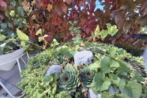 Novi Vinodolski, Klenovica - kuća s predivnim pogledom u blizini plaže