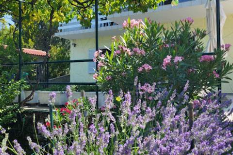 Novi Vinodolski, Klenovica - kuća s predivnim pogledom u blizini plaže