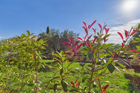 Istra, Rovinjsko Selo, moderna obiteljska kuća s bazenom