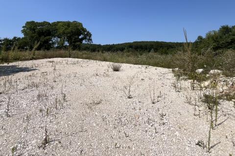 Istra, Vrsar, okolica - građevinsko zemljište sa pravomoćnom građevinskom dozvolom