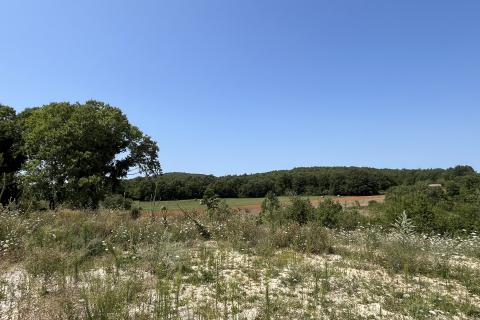 Istra, Vrsar, okolica - građevinsko zemljište sa pravomoćnom građevinskom dozvolom