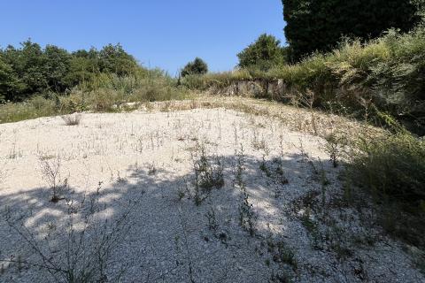 Istra, Vrsar, okolica - građevinsko zemljište sa pravomoćnom građevinskom dozvolom