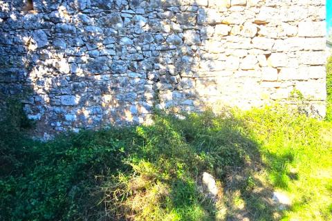 Istra, Rovinj, 8km, ruševna kuća sa 210m2 okućnice