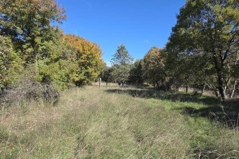 Građevinsko zemljište, Garica - 2489 m2