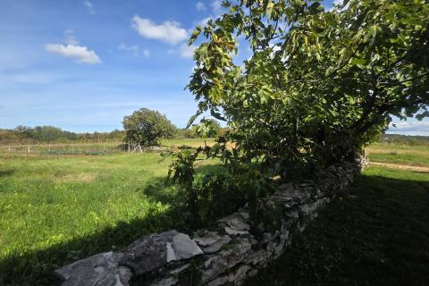 Istra,Oprtalj-Građevinsko zemljište u mirnom zaseoku