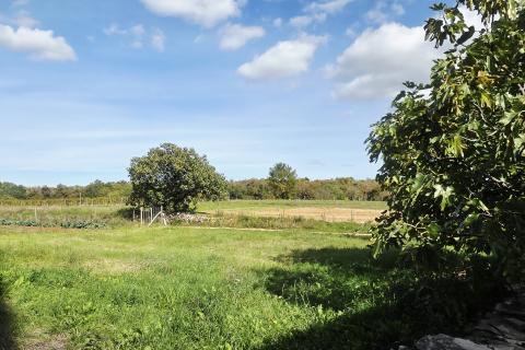 Istra,Oprtalj-Građevinsko zemljište u mirnom zaseoku