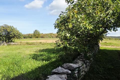 Istra,Oprtalj-Građevinsko zemljište u mirnom zaseoku