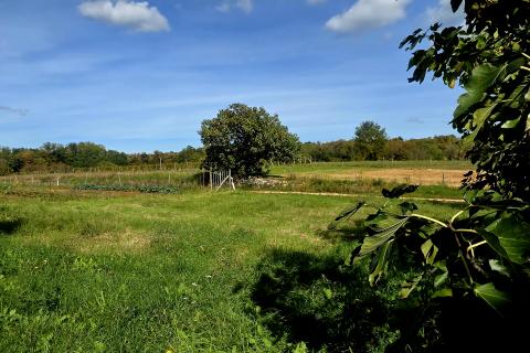 Istra,Oprtalj-Građevinsko zemljište u mirnom zaseoku