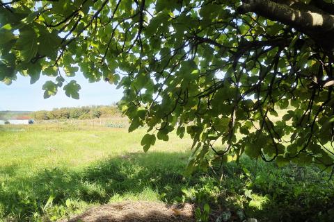 Istra,Oprtalj-Građevinsko zemljište u mirnom zaseoku