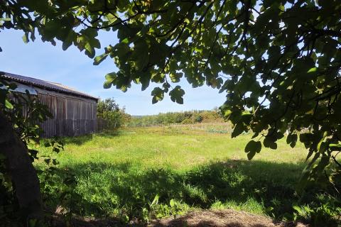 Istra,Oprtalj-Građevinsko zemljište u mirnom zaseoku