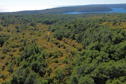 ISTRIA, LABIN - Land near the sea