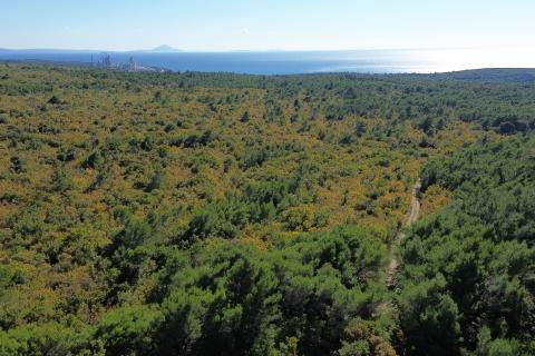 ISTRIA, LABIN - Land near the sea