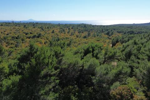 ISTRIA, LABIN - Land near the sea