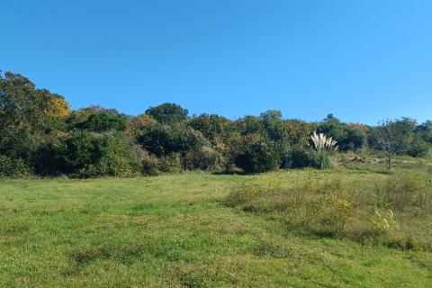 Istra,Pomer-građevinsko zemljište 100m od mora