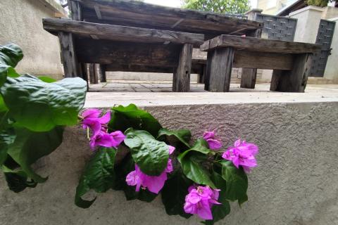 Rijeka, Vojak, najam novoadaptiranog stana s dvorištem