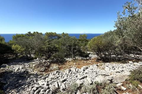 Veli Lošinj, Poljoprivredno zemljište sa maslinikom